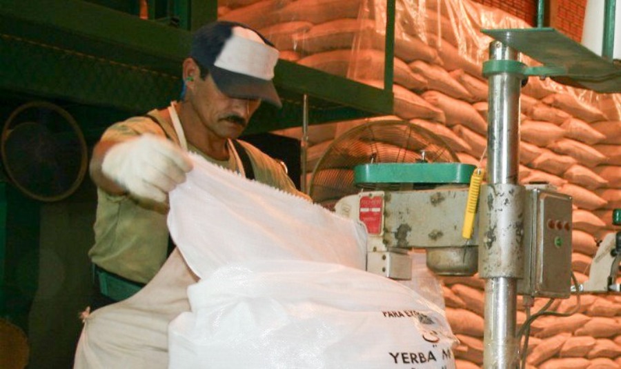 Yerba mate: Las exportaciones aumentaron un 11,4% entre Enero y Agosto