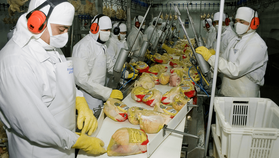 Gripe aviar: Las exportaciones avícolas se reactivarían completamente en 15 días