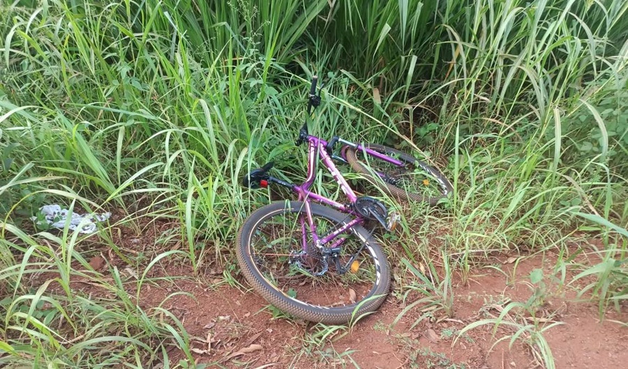 Una ciclista de 48 años perdió la vida en un siniestro vial sobre la ex Ruta Provincial N° 227 del Municipio misionero de Puerto Esperanza