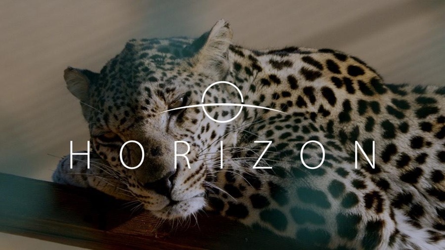 "Horizon", la película Saudi ya se puede ver en la Plataforma de Netflix
