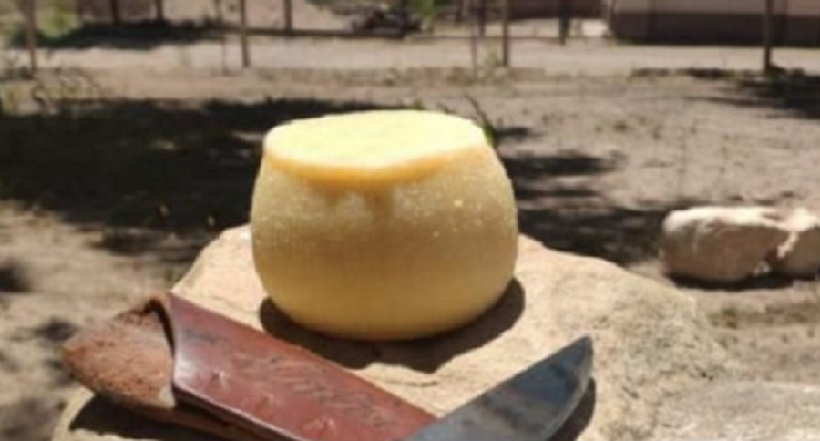 CONAL evalúa incluir el queso de campo de cabra en el Código Alimentario
