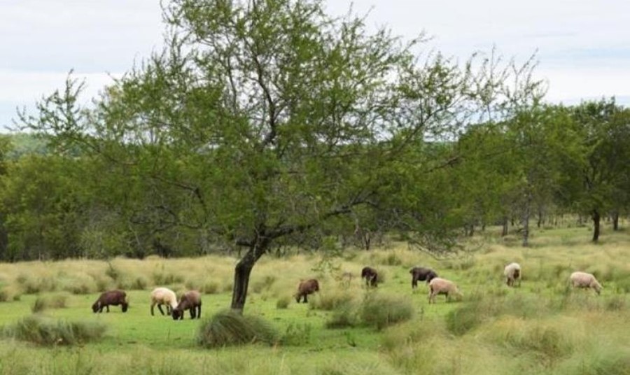 El tiempo en Misiones: Se mantienen las condiciones de estabilidad, con vientos del sur, soleado, aumento de la nubosidad por las tardes sobre zonas sur y centro de la provincia