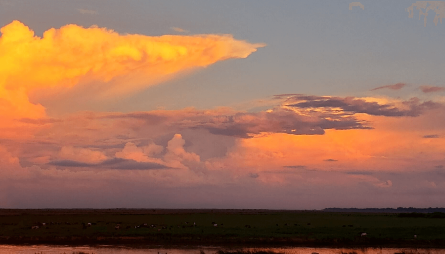Las lluvias ya se fueron de vacaciones de invierno y el frío da una tregua