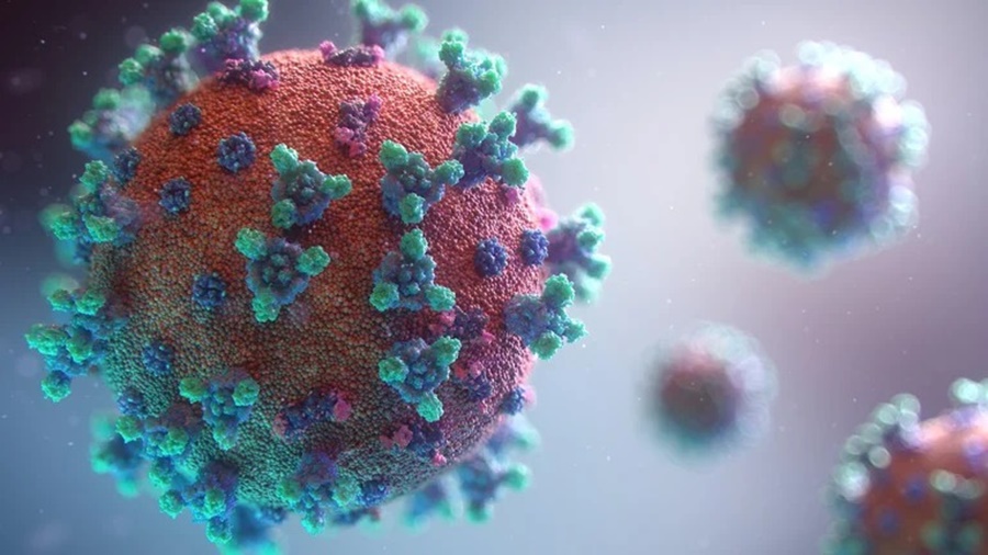 Cuáles son las 3 variantes de Ómicron que son resistentes a los anticuerpos y alertan a los expertos