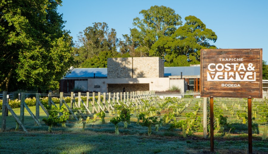 Vinos que enamoran: La selección de Bodega Trapiche para brindar en San Valentín