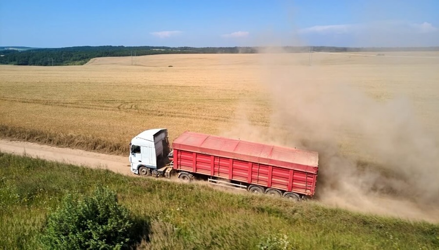 El flete en camión se lleva hasta 33% del precio de los granos y es hasta 75% más caro que en países competidores