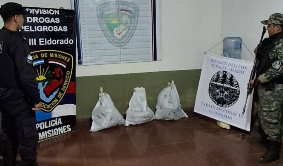Hallaron más de 40 kilos de marihuana en zona rural del Municipio misionero de Eldorado