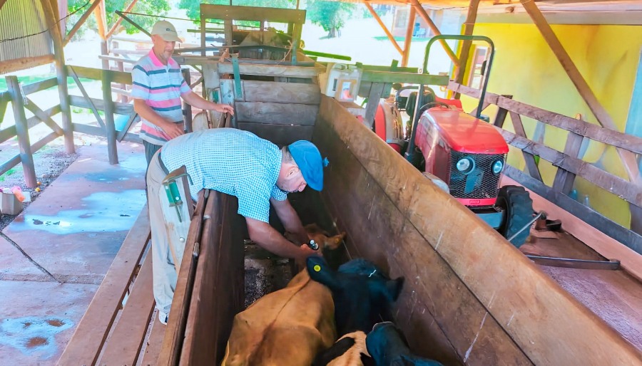 Misiones: Refuerzan la estrategia de sanidad animal para 2025 con un enfoque integral