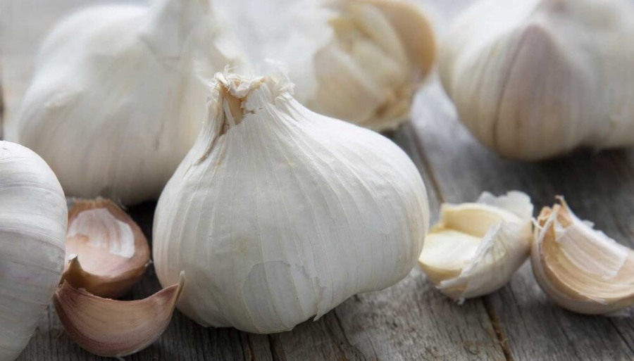 Con el ajo a la cabeza, las frutas y hortalizas de Mendoza crecen en el mercado exterior