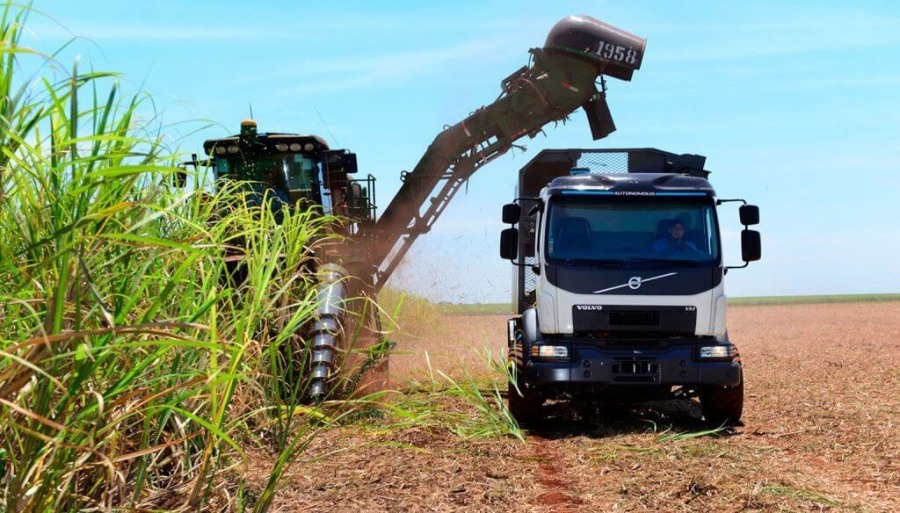 Las exportaciones de la caña de azúcar están dulces: crecieron casi 1000% en Octubre