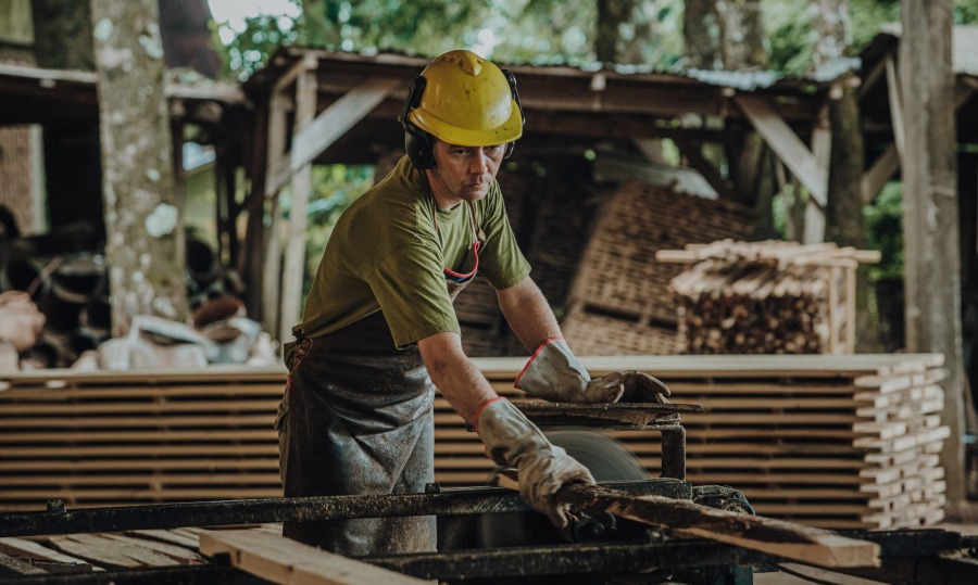 Misiones: Continúa vigente la línea de créditos con tasa bonificada por la provincia destinada al fortalecimiento del sector yerbatero y forestal