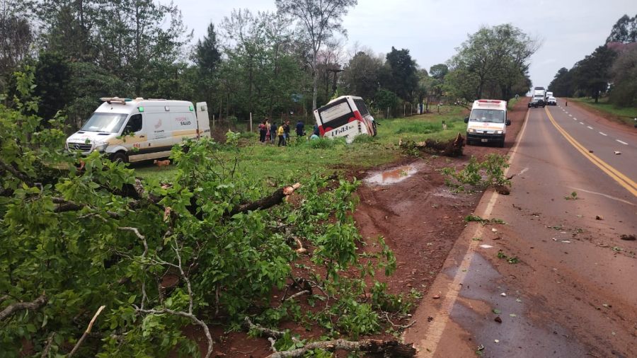 Misiones: Un colectivo impactó contra un árbol sobre la Ruta Nacional N° 12, en la localidad de Garuhapé, trasladaron al Hospital a una mujer tras siniestro