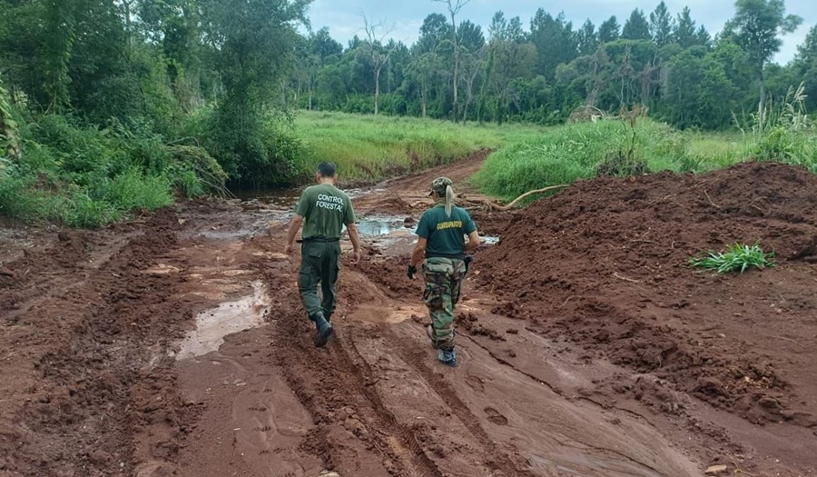 Misiones: Frenaron actividades de cambio ilegal de uso de suelo y daño ambiental