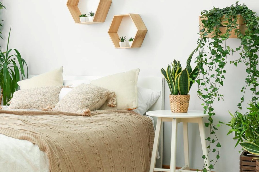 ¿Cómo relajar los ambientes en el Día Mundial de la Relajación?