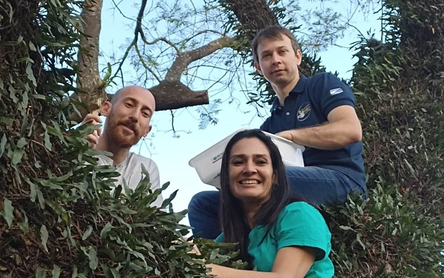 Misiones: En el marco del Programa Plantemos Futuro, más de trescientas orquídeas nativas fueron plantadas en Oberá
