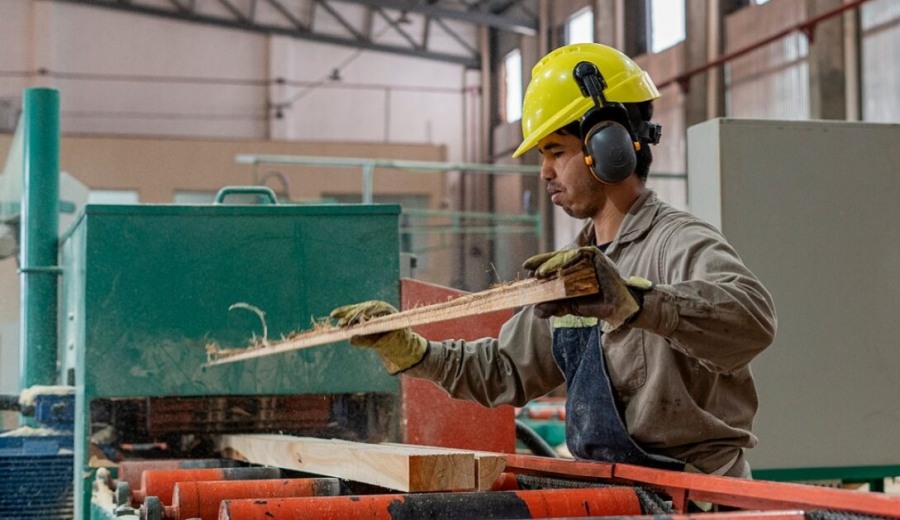 Informe de la Consultora Politikon revela que la provincia de Misiones lidera la reactivación en todo el interior argentino