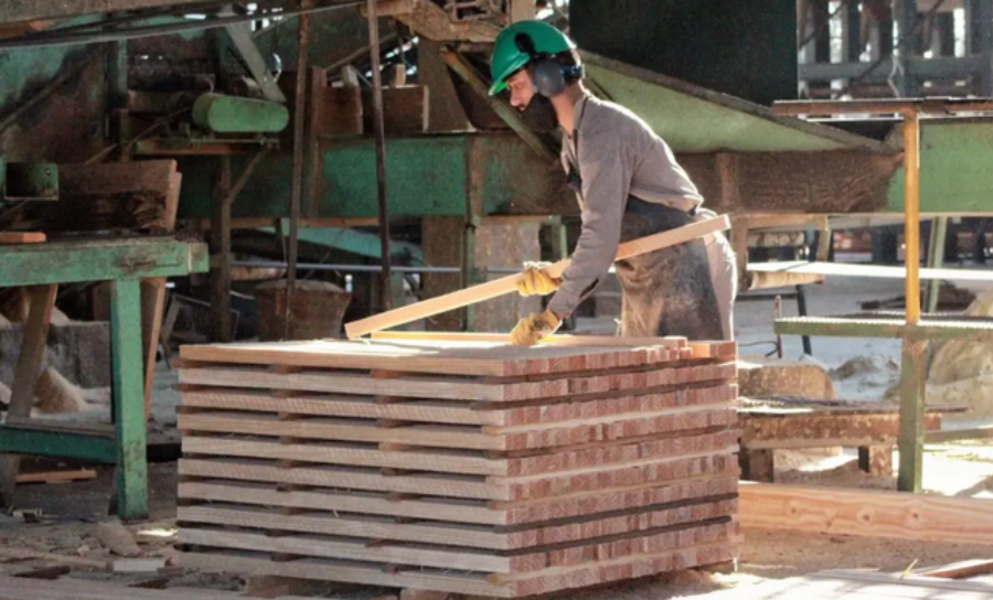 La provincia de Misiones, la que más crece en el NEA: Su Producto Bruto Geográfico aumentó 92,6% en los últimos 5 años