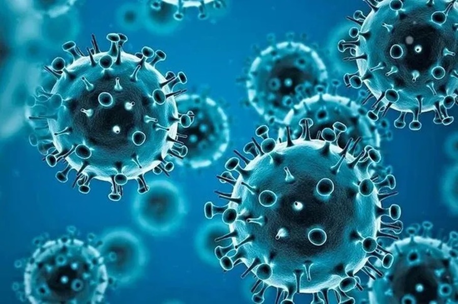 COVID-19: Un informe de EE.UU., señala cuál habría sido el origen de la pandemia