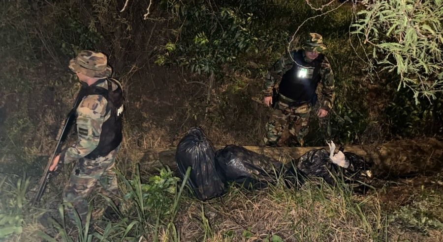 Prefectura Naval Argentina incautó más de 41 kilos de cogollos de marihuana en Misiones