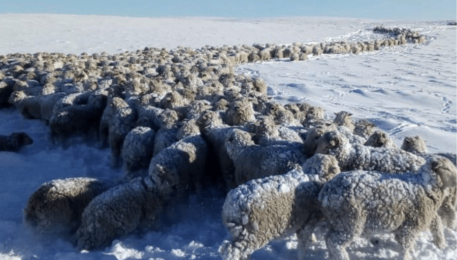 La Patagonia, sin tregua del clima: Siguen las alertas rojas y amarillas por el frío y las nevadas