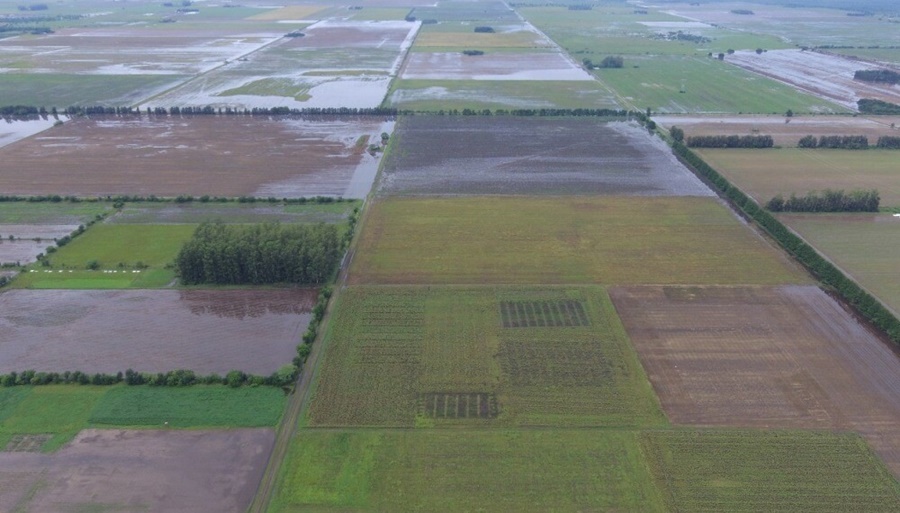 Inundaciones: Cómo mitigar el impacto de más de 500 milímetros en apenas dos semanas