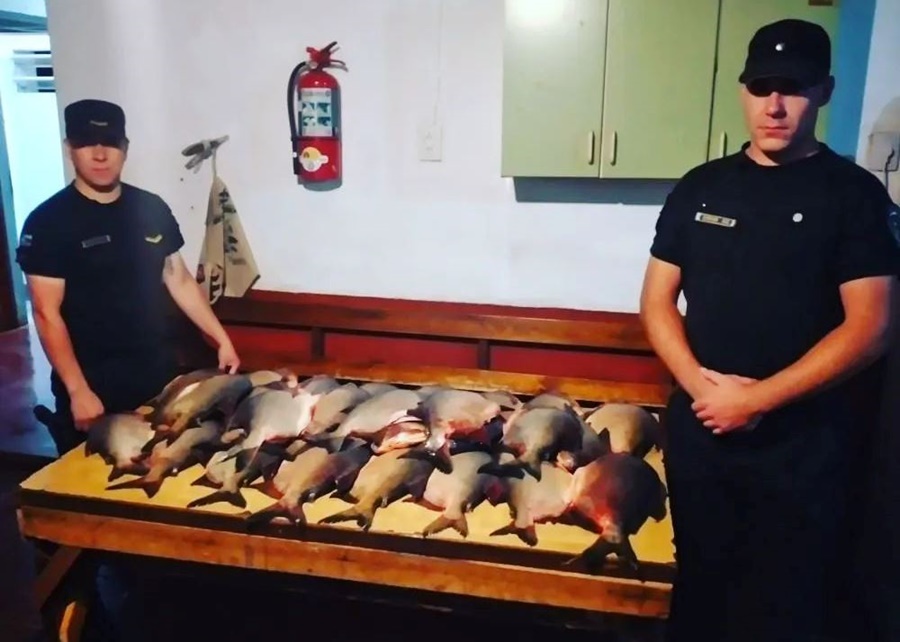 Misiones: Robó 35 pescados de un campo y fue detenido cuando intentaba huir, fue en San José