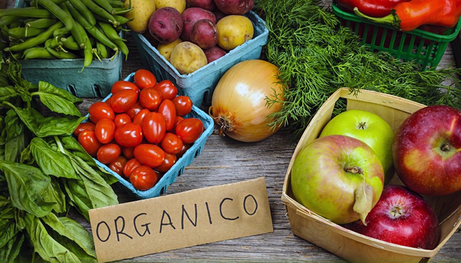 Producción orgánica: Cómo es el proyecto de fomento que avanza en el Congreso