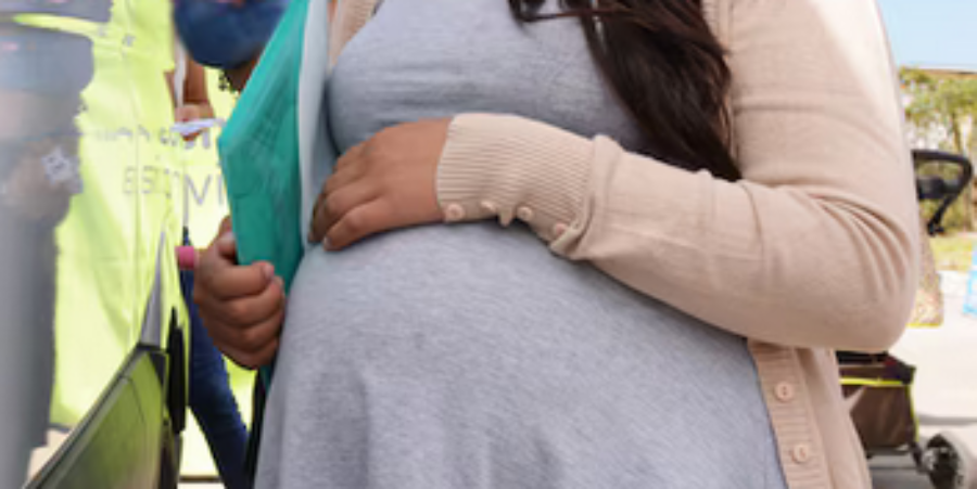 Capital Humano denunció 203 casos de embarazos falsos para cobrar una asignación: El Estado habría perdido 165 millones de pesos