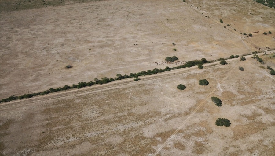 Declaran la emergencia agropecuaria nacional para Chaco y parte de Santa Fe, por sequía del verano