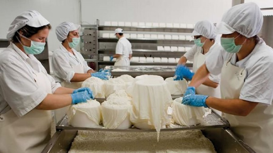 Clínica quesera: Diagnósticos y soluciones para quesos con defectos