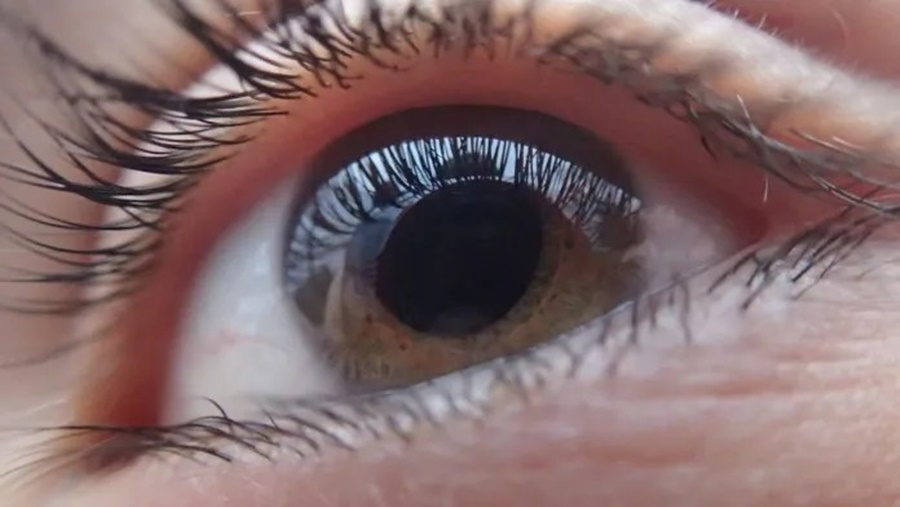 Nuevo avance para tratar la ceguera con cultivo de células de la retina