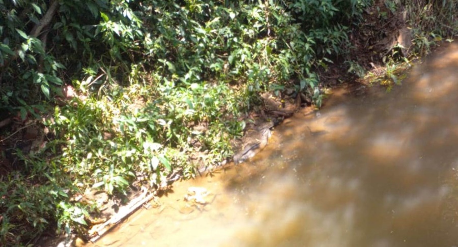 Un joven de 22 años murió ahogado en un arroyo de la localidad de Jardín América, donde momentos antes se habría arrojado para refrescarse