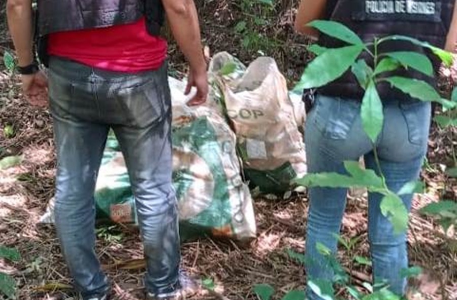 Nueva incautación de droga por parte de la Policía de Misiones, esta vez en Colonia Polana y ya son casi 22 mil kilos de cannabis sativa incautados por las fuerzas policiales