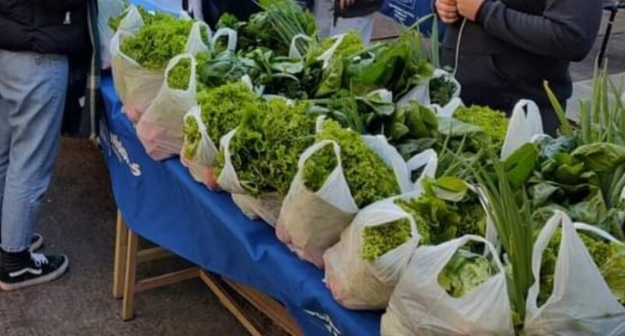 Apóstoles: Este día jueves en el Módulo Informática de la Sede Apóstoles, estarán disponibles combos de verduras para su compra