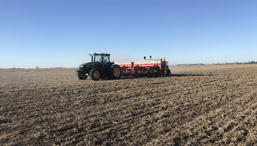 Con el trigo también: Los productores sostienen la intención de usar tratamientos biológicos en semillas