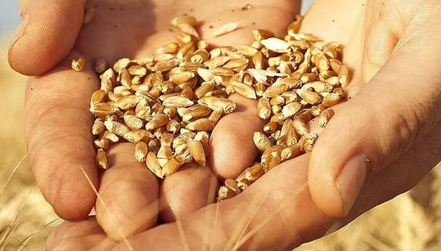 El Gobierno Nacional defendió la adhesión a un convenio internacional de Semillas