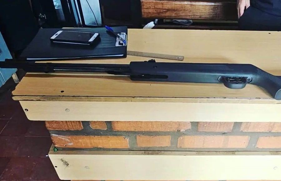 Arrestaron a un individuo de 28 años por matar a un ejemplar de mono Carayá y se secuestró un rifle de aire comprimido que habría utilizado para el hecho