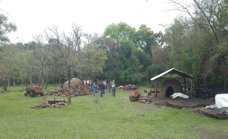 Misiones: Entrega de plantines de eucaliptus a productores carboneros y sus familias