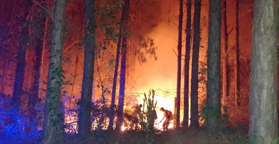 Misiones: Bomberos de la Policía, voluntarios y brigadistas operan en conjunto contra los focos ígneos en la provincia