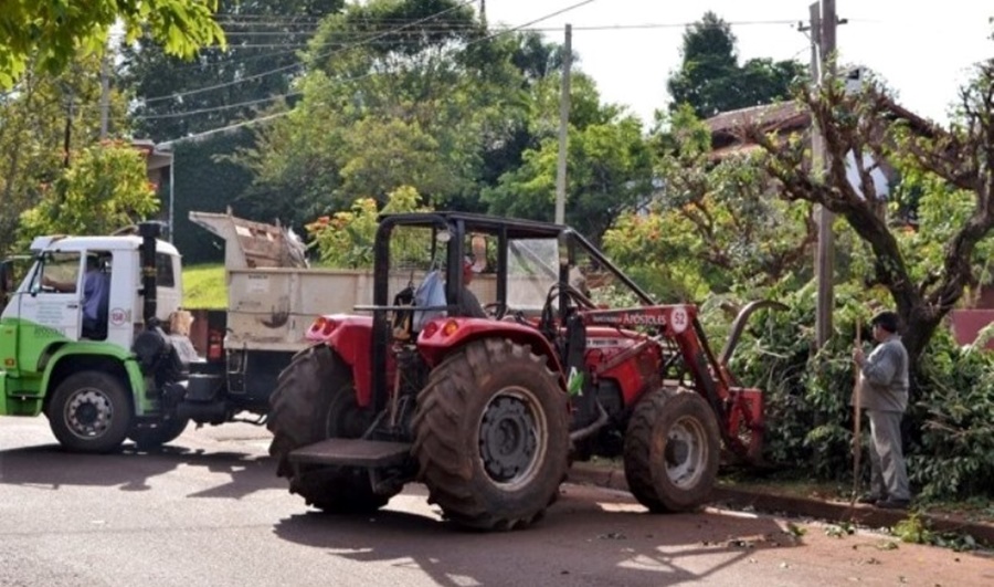 Apóstoles: Últimos días para realizar podas autorizadas en el Sector III