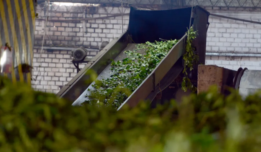 Misiones: Los productores yerbateros ya canjearon más de 1.600 millones de pesos en cheques diferidos con tasa totalmente bonificada