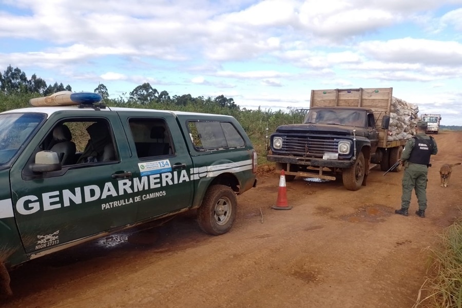 Incautan soja destinada al contrabando, el destino de los granos era la República Federativa del Brasil