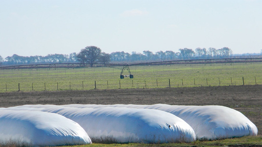 Por la incertidumbre política y climática, los productores no quieren vender granos