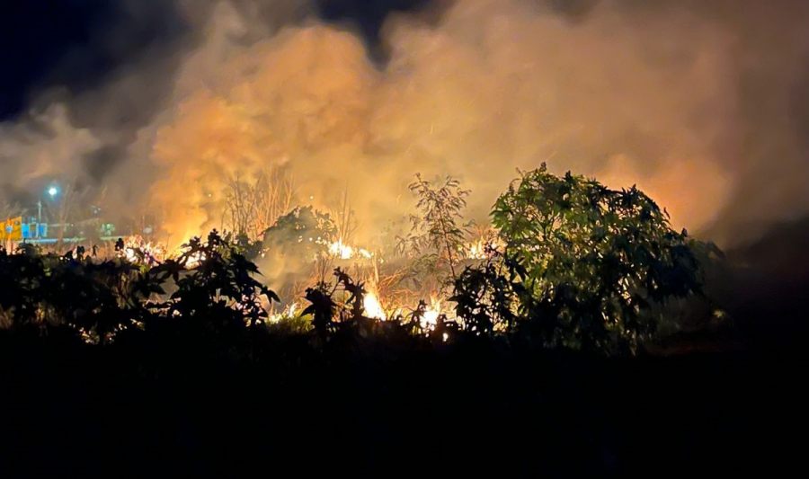 Posadas: Bomberos sofocaron un incendio de malezas en un descampado del Barrio Lucero