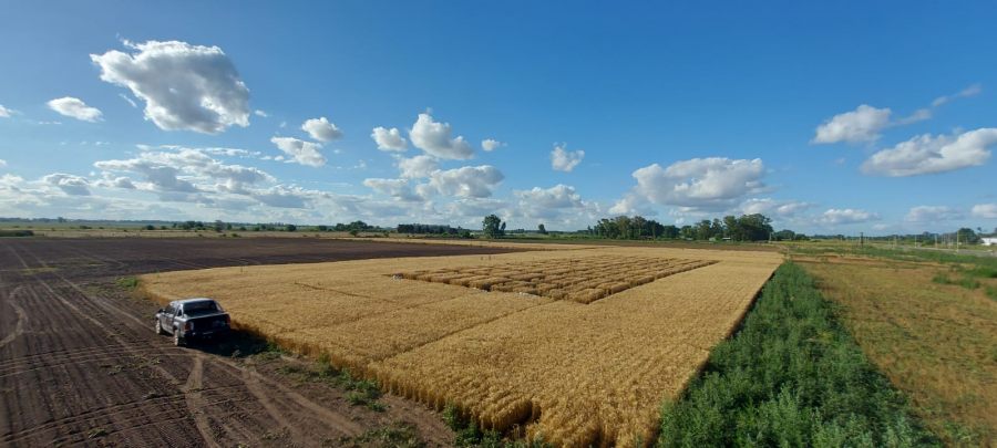 El campo experimental PT Farm fue sede de un ensayo innovador junto a Spraytec
