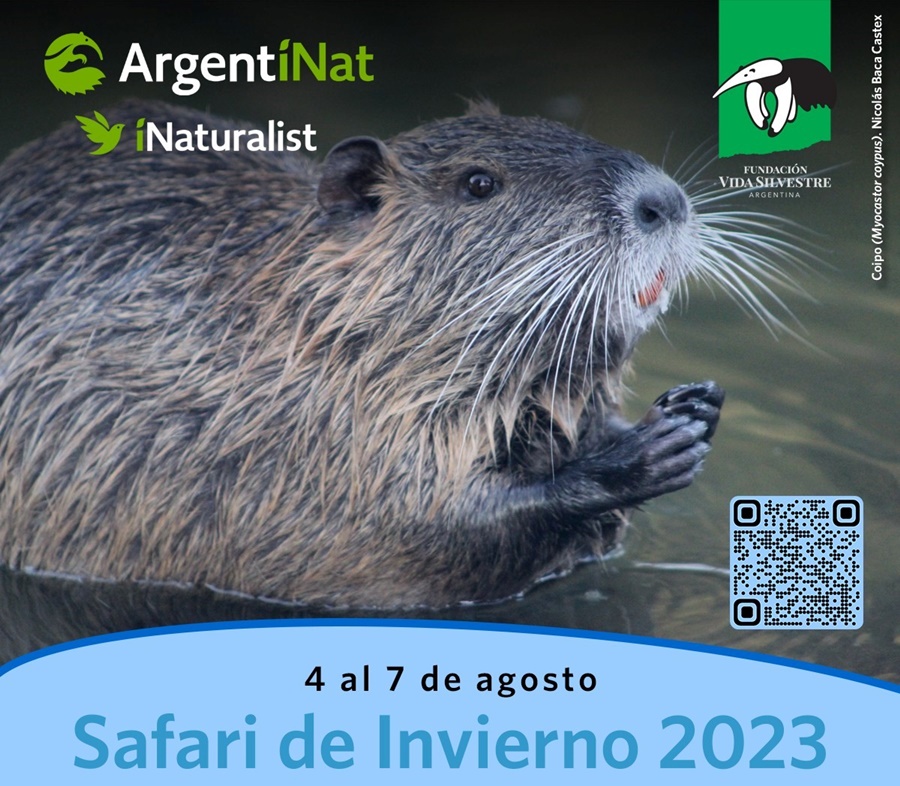 Explorá la biodiversidad de Argentina junto a Vida Silvestre en el Safari de Invierno