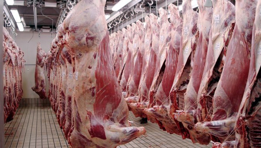 La faena ya muestra la menor oferta de hacienda y anticipa más subas de precios