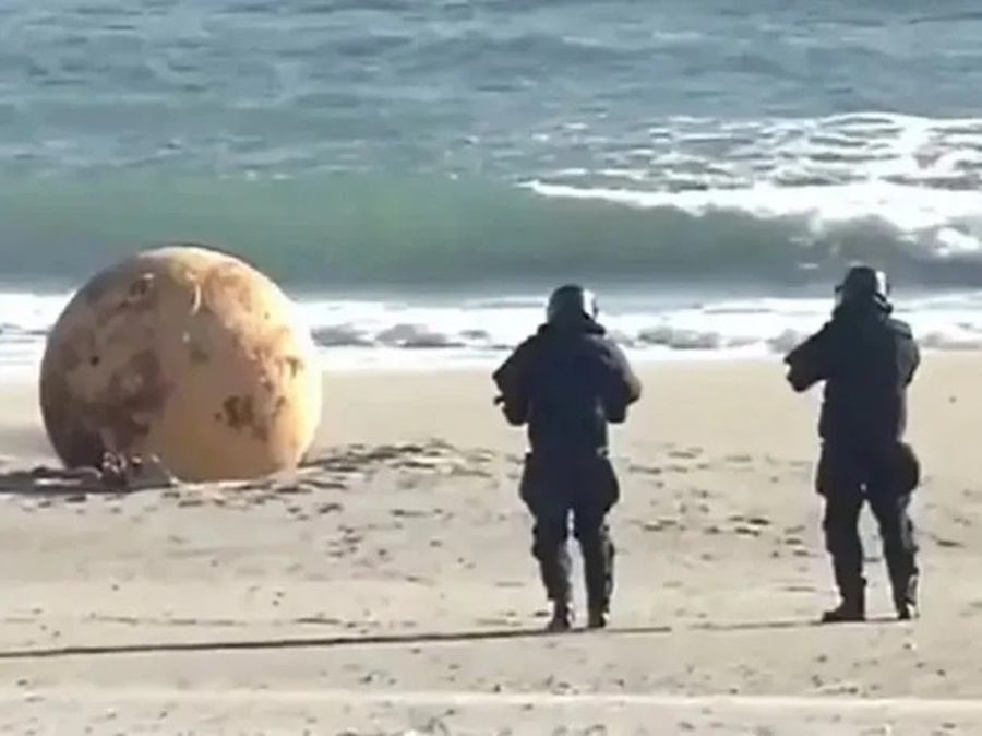 Se acabó el misterio: Qué era la bola gigante que apareció en una playa de Japón