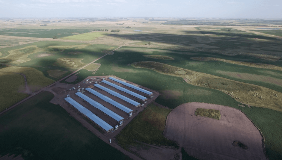 Valor agregado: Los cerdos impulsan una inversión de 17,5 millones de dólares en Bolívar