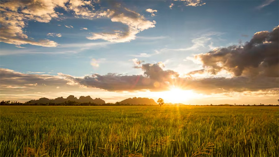 Áreas agrícolas: El clima que se viene post Navidad